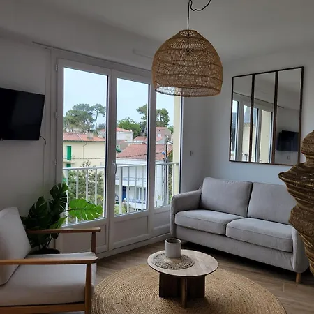 Cocoon Apartment, Apartment *